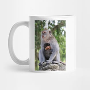 a monkey and baby sitting on a branch in ubud in bali Mug